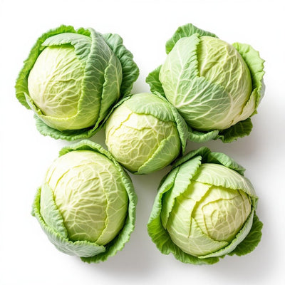 Cabbage