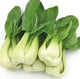 Bé Thượng Hải Bok Choy