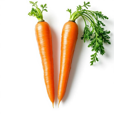 Carrot