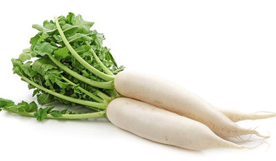 Chinese Radish