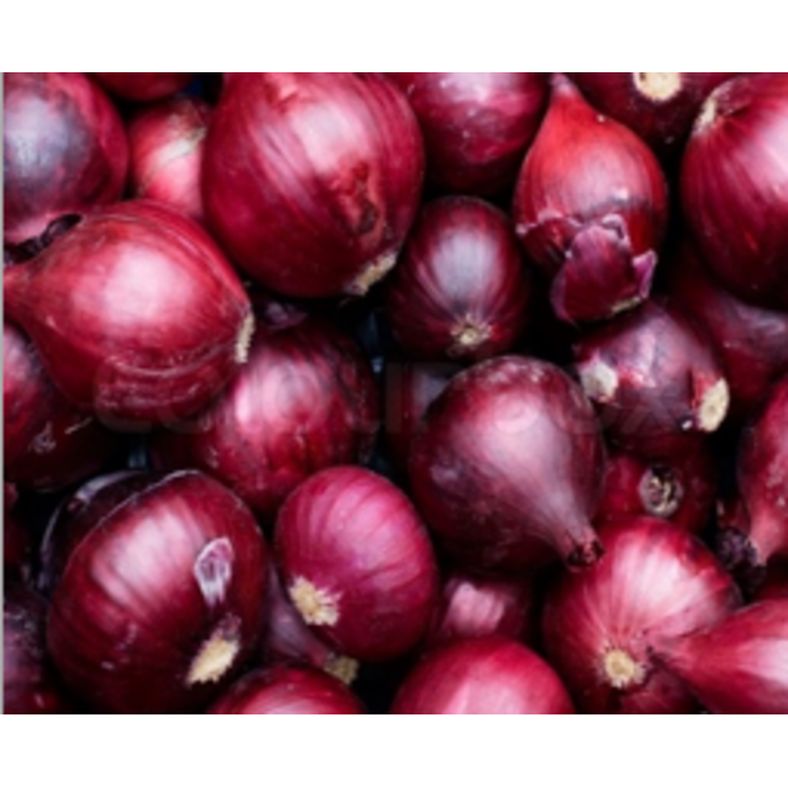 Red Onion - 10 lb