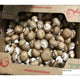 Whole Mushroom Cremini - 5 lb