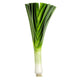 Leek Bags - 18x2 ct