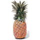Pineapple - 2 ct bag
