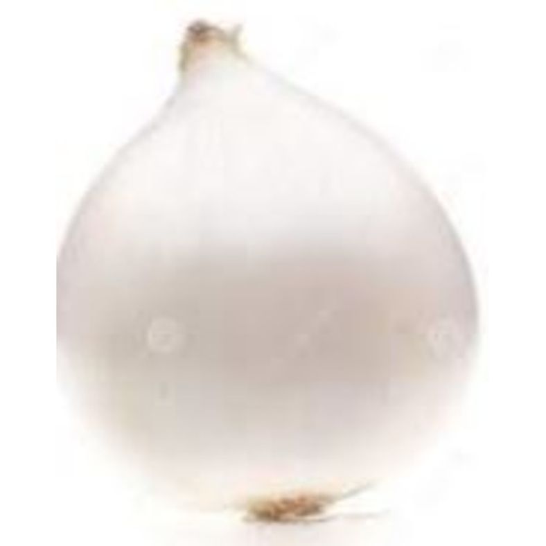 White Onions - 10 lb