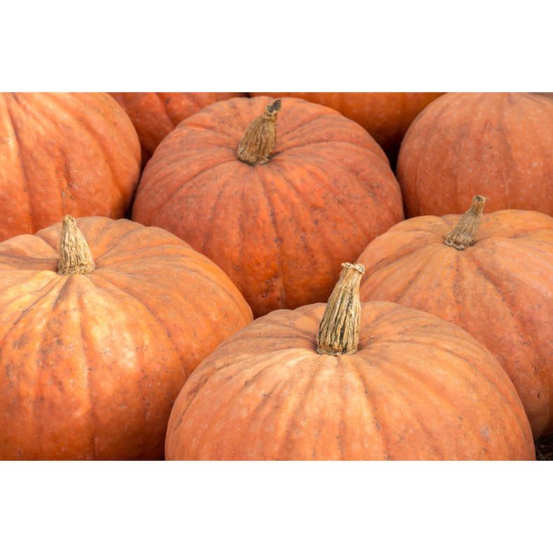 Imported Calabaza - 40 lb