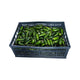 Jalapeno Pepper - Case