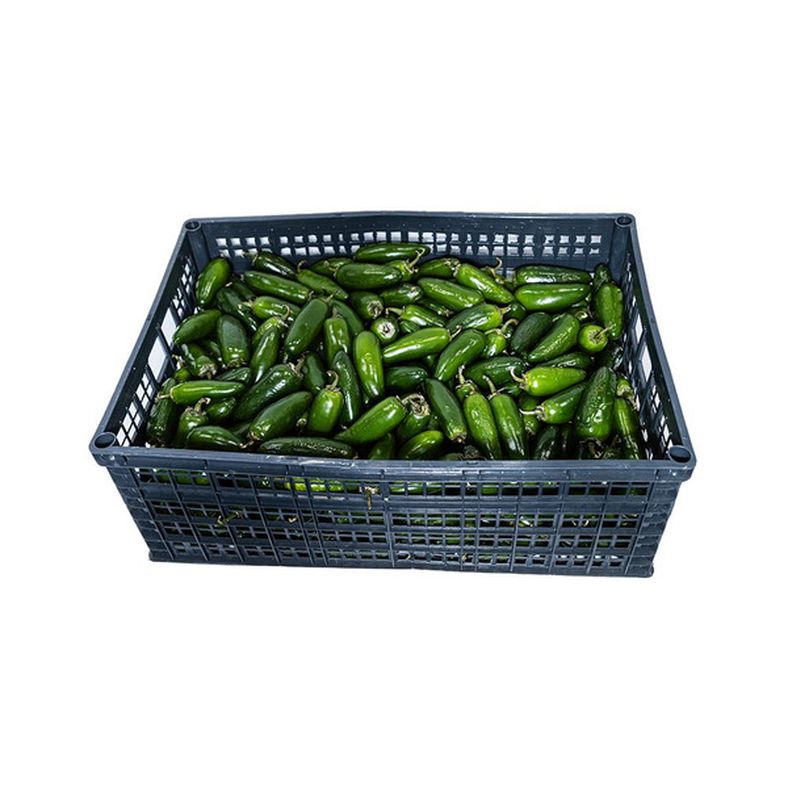 Jalapeno Pepper - Case