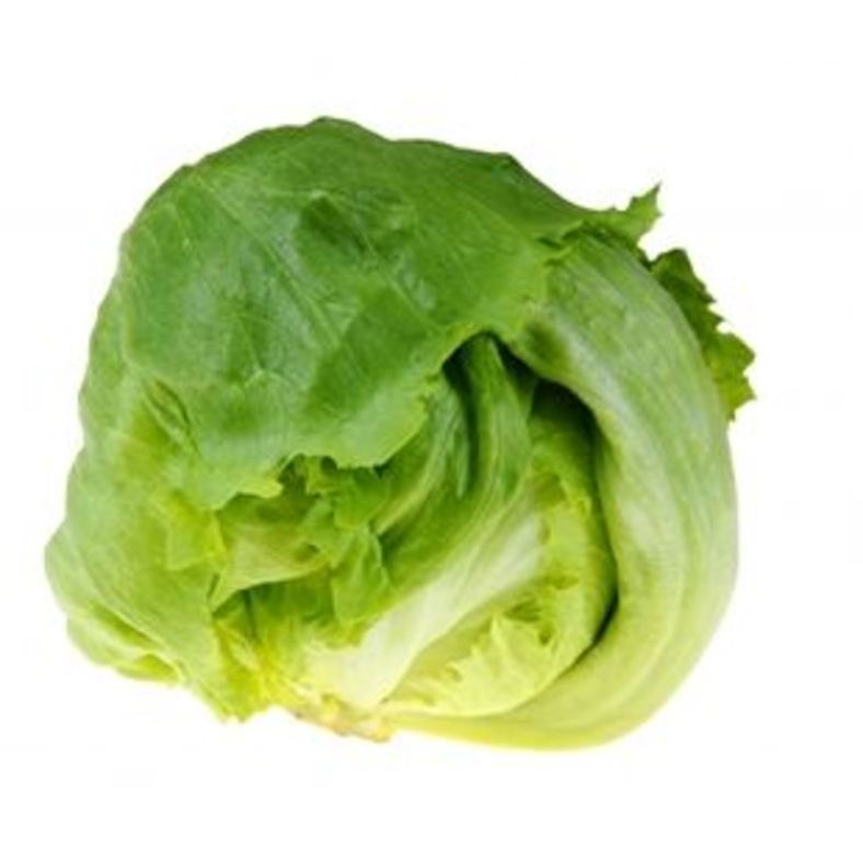 Iceberg Lettuce (Cello-wrapped) - 24 ct
