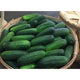 Kirby Cucumber - Half Bushel