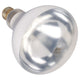 Winco - Shatter-Resistant Heat Lamp Bulb (Clear) - 250 Watt