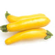 Yellow Squash - 1 lb