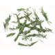 Rosemary - 4 oz