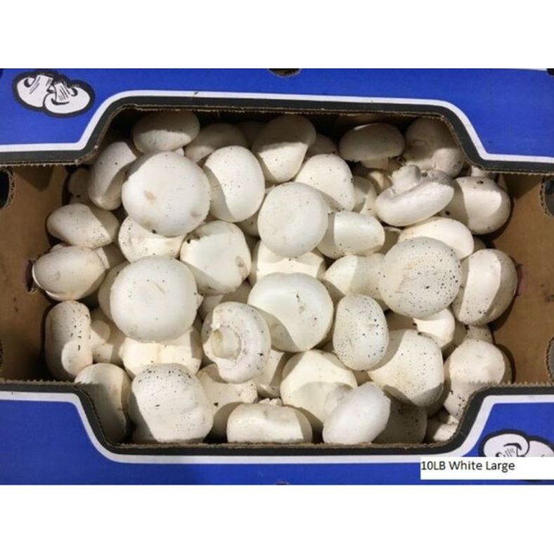 White Large Mushrooms - 10 lb