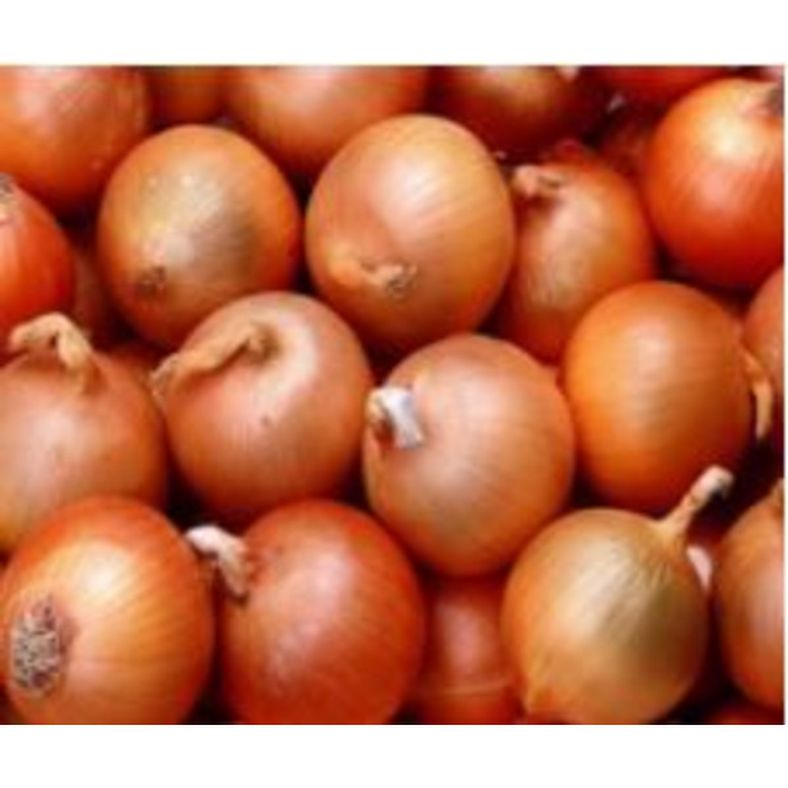 Yellow Onion - 20x2 lb