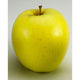 Golden Delicious Apples (80 ct) - 25 lb