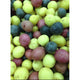Baby Medley Potatoes - 10 lb