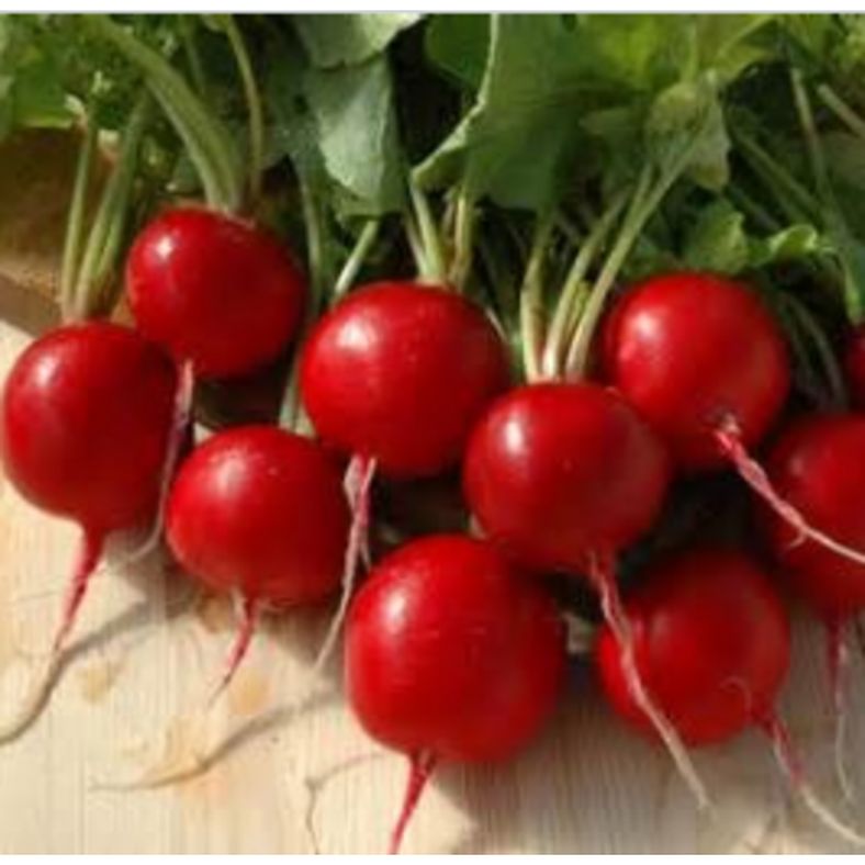 Radish - 25 lb