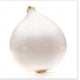Jumbo White Onions - 25 lb