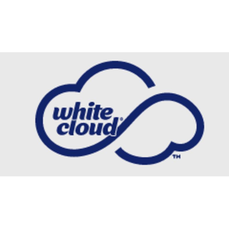White Cloud - Paper Towel - 15 ct