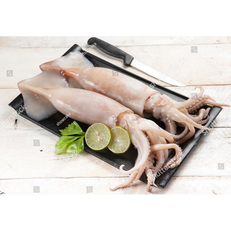 Squid Tubes & Tentacles (5-8 inch, China) - 2.5 lb