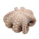Frozen Octopus (Flower Pack T-5) - 2.5-3 lb