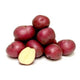 Red Potatoes (US #1) - 50 lb
