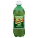 Schweppes - Ginger Ale - 24x20 oz