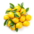 chanh 40-44LB