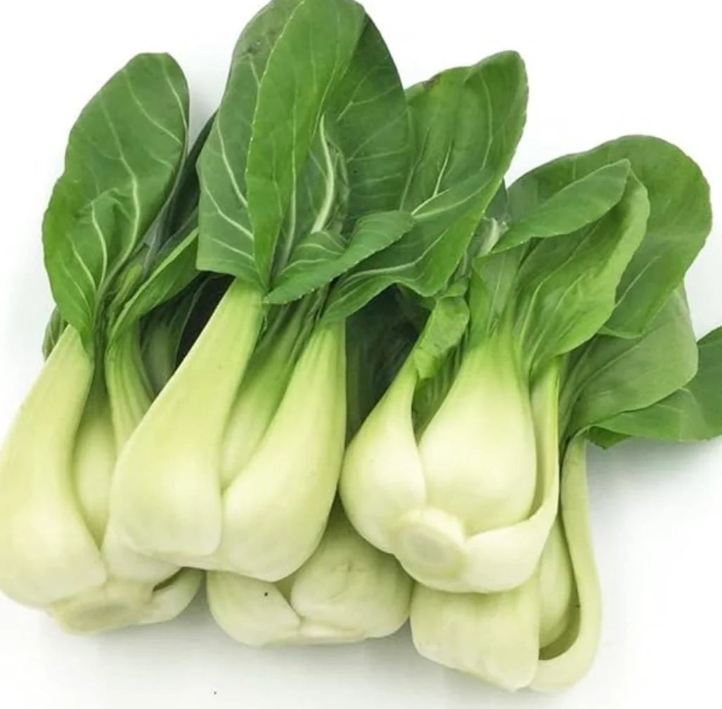 Baby Shanghai Bok Choy