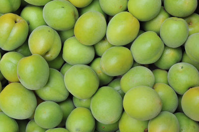 Green Plum 28LB