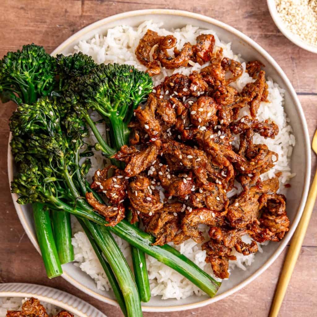 Vegan  Teriyaki Beef