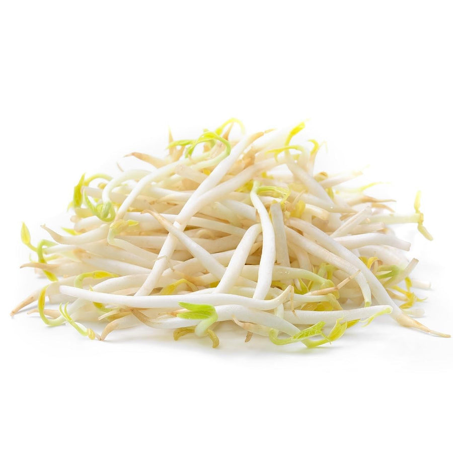 Bean Sprouts