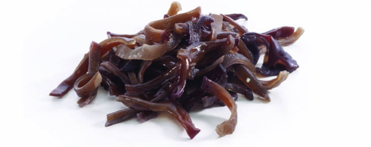 Shredded Dried wood ear Black Fungus (Wood Ear Mushrooms) - 5 lb, Non-GMO, Vegan, and Gluten-Free - Perfect for Soups, Stir-Fries, and More