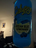 Calypso - Blue Lemonade - 12x16 oz