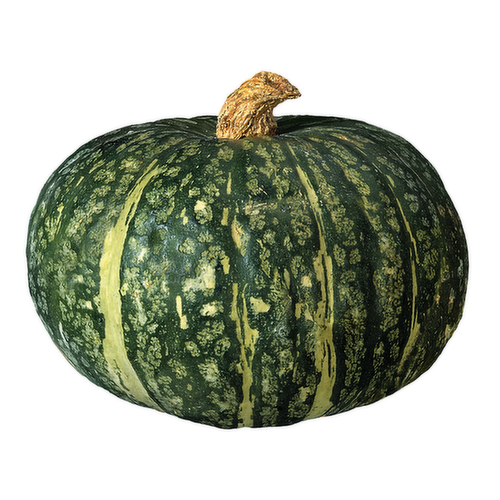 Kabocha