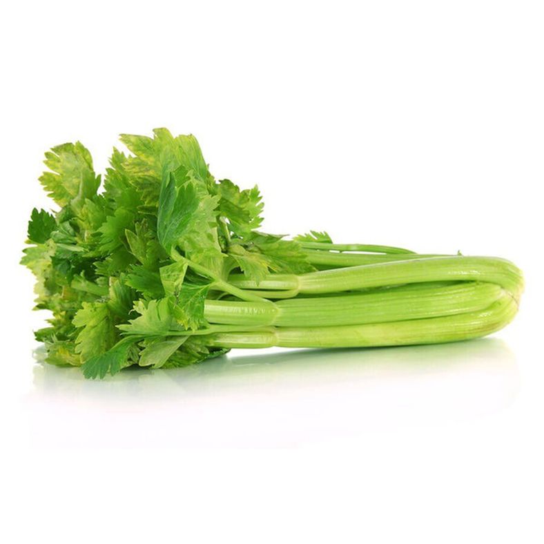 rd-71258040-celery-2430-ct-55
