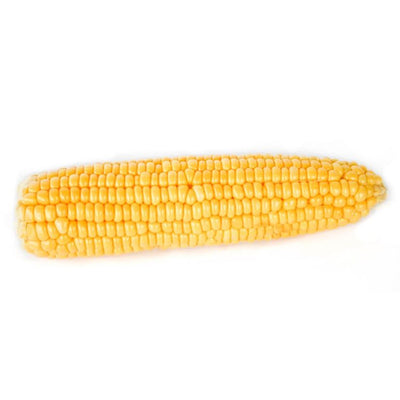 rd-51257624-corn-yellow-or-bicolored-42-lbs-4248-ct