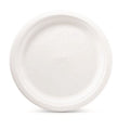 Chinet - Display White Dinner Plates 10" - 125 ct