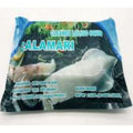 Frozen Squid (8-12 inch tubes & tentacles) - 2.5 lb