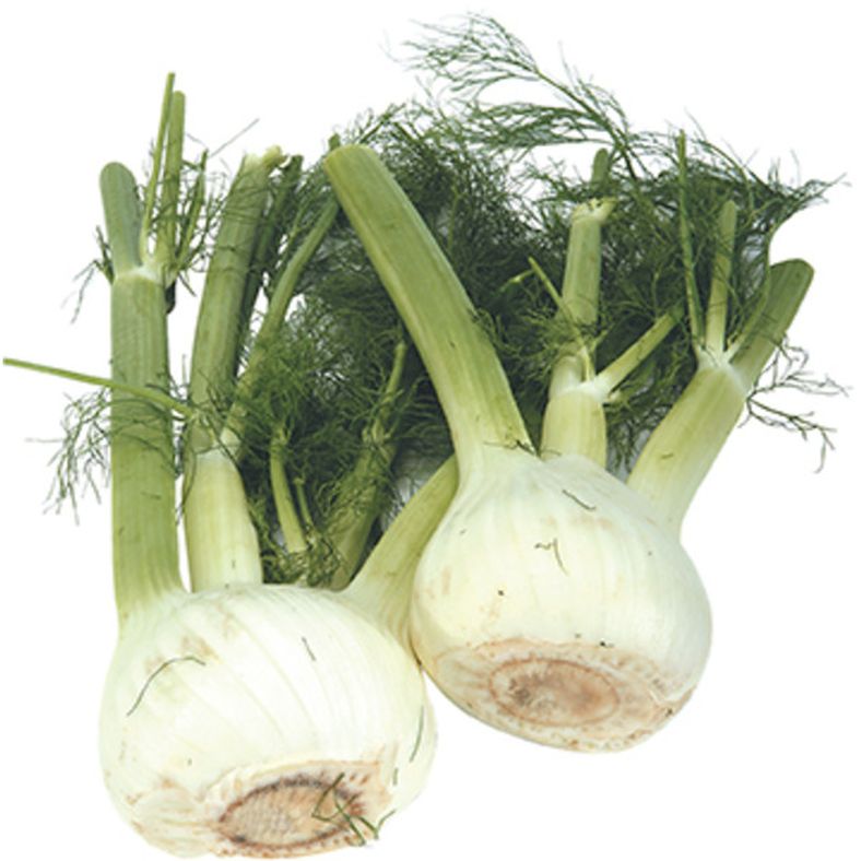 rd-51263702-fennel-anise-4ct-bag-4-ct