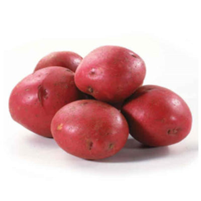 rd-51265678-red-b-potato-50-lbs-50-lb