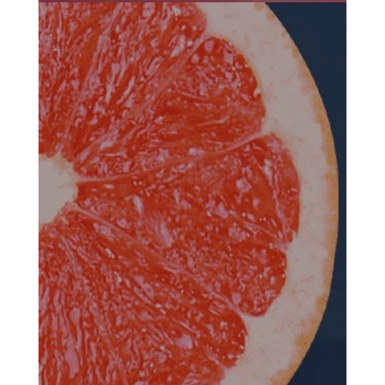 Sunkist - Grapefruit - 8x5 lb