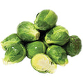 Brussels Sprouts - 5 lb