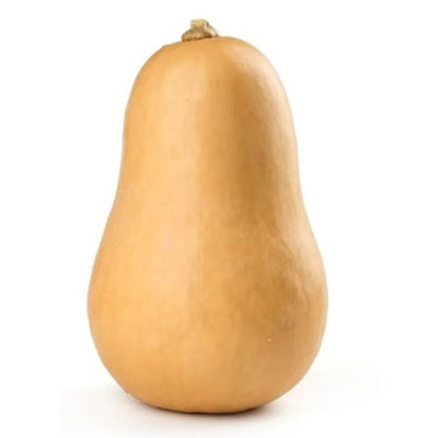 rd-19448802-butternut-squash-5-lbs