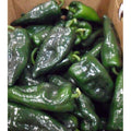 Poblano Pepper - 1/2 Bushel