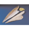 Haddock Fillet (Skinless, Boneless) - 6-8 oz - 10 lb