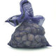 Live Little Neck Clams - 100 ct