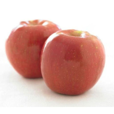rd-16784662-fuji-apple-each