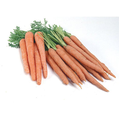 rd-19304391-carrots-5-lb